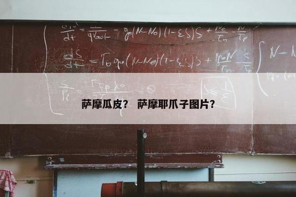 萨摩瓜皮？ 萨摩耶爪子图片？