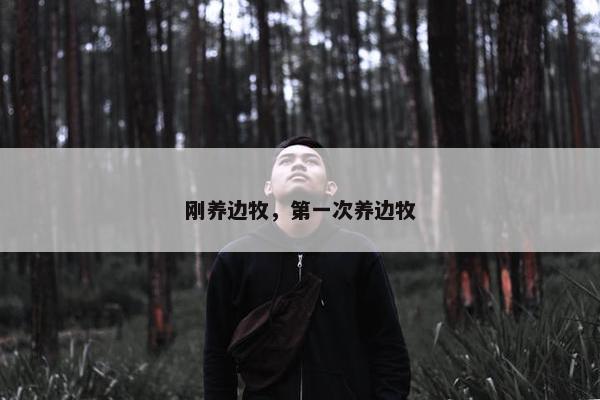刚养边牧，第一次养边牧