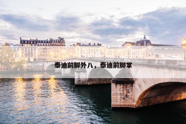 泰迪前脚外八，泰迪前脚掌