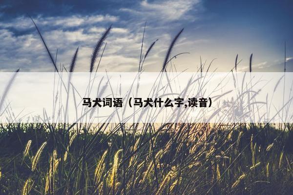 马犬词语（马犬什么字,读音）