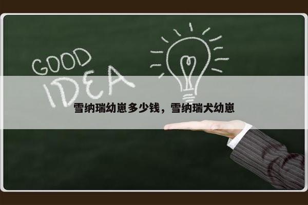 雪纳瑞幼崽多少钱，雪纳瑞犬幼崽