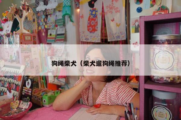 狗绳柴犬（柴犬遛狗绳推荐）