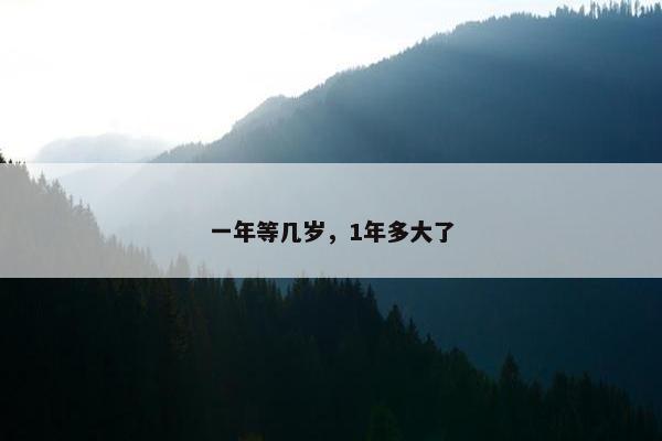 一年等几岁，1年多大了