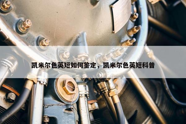凯米尔色英短如何鉴定，凯米尔色英短科普