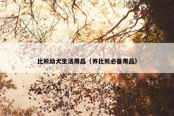 比熊幼犬生活用品（养比熊必备用品）