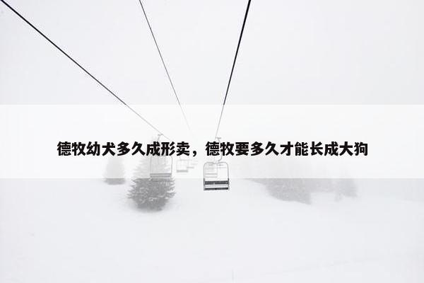 德牧幼犬多久成形卖，德牧要多久才能长成大狗