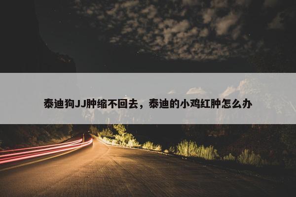 泰迪狗JJ肿缩不回去，泰迪的小鸡红肿怎么办