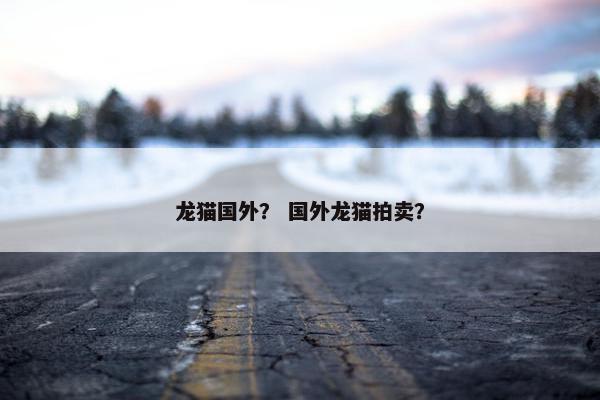 龙猫国外？ 国外龙猫拍卖？