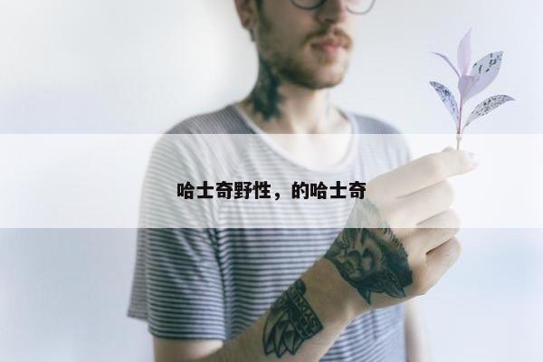 哈士奇野性，的哈士奇