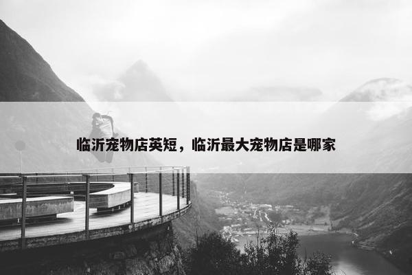 临沂宠物店英短，临沂最大宠物店是哪家