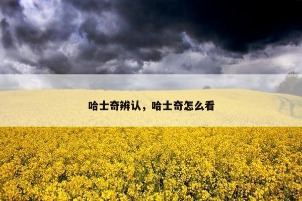 哈士奇辨认，哈士奇怎么看