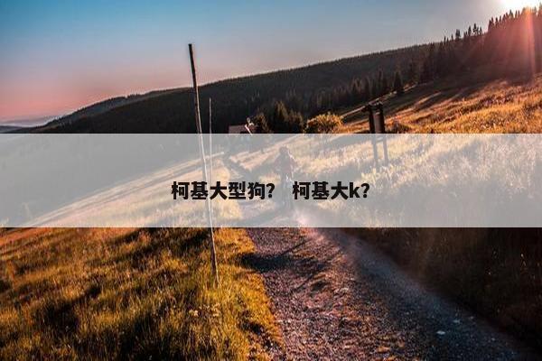 柯基大型狗？ 柯基大k？