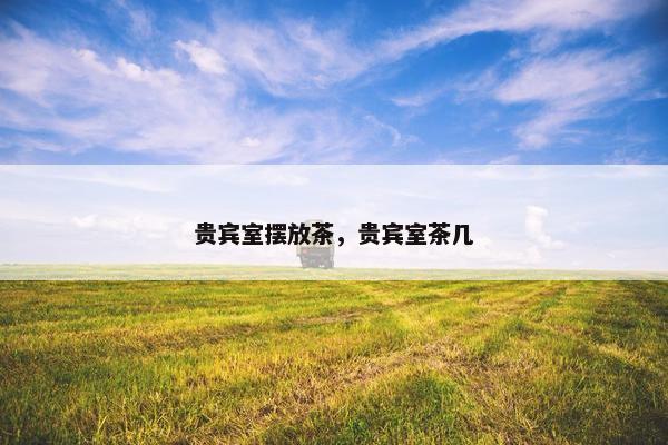贵宾室摆放茶，贵宾室茶几