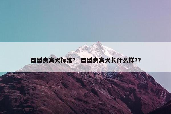 巨型贵宾犬标准？ 巨型贵宾犬长什么样?？