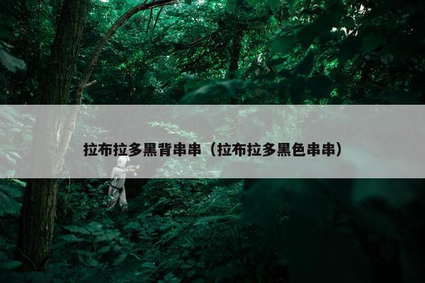 拉布拉多黑背串串（拉布拉多黑色串串）
