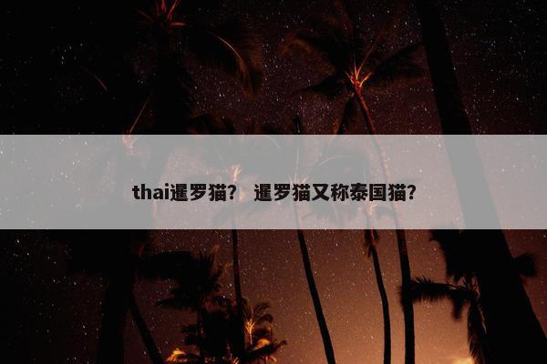 thai暹罗猫？ 暹罗猫又称泰国猫？