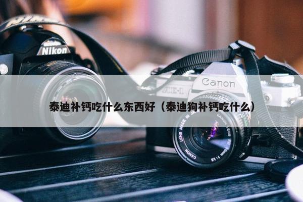 泰迪补钙吃什么东西好（泰迪狗补钙吃什么）
