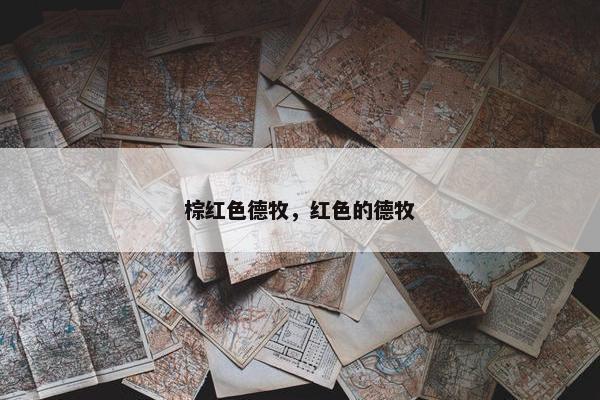 棕红色德牧，红色的德牧