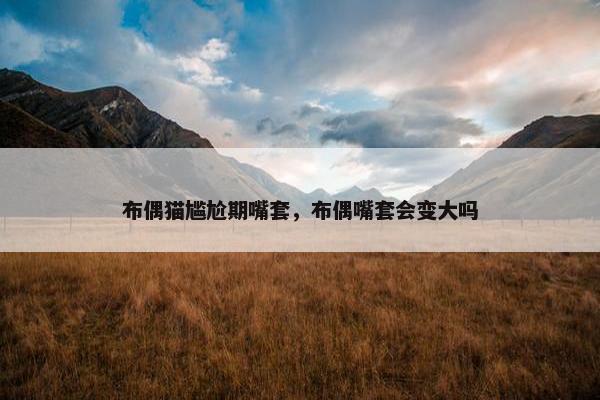 布偶猫尴尬期嘴套，布偶嘴套会变大吗