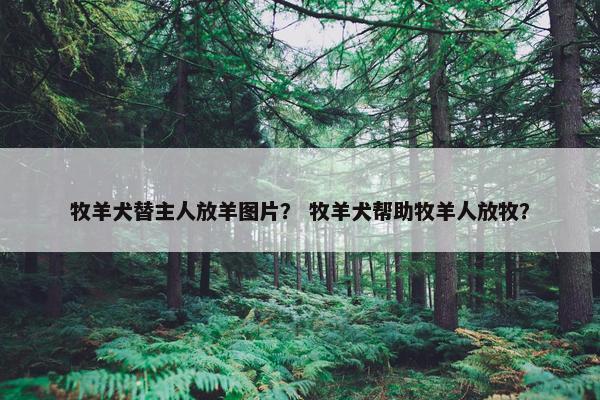 牧羊犬替主人放羊图片？ 牧羊犬帮助牧羊人放牧？