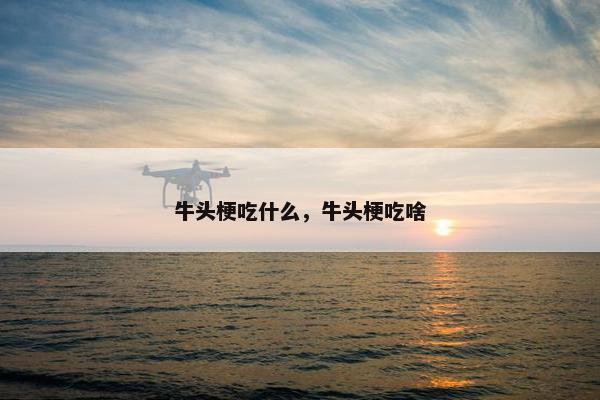 牛头梗吃什么，牛头梗吃啥