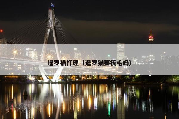 暹罗猫打理（暹罗猫要梳毛吗）
