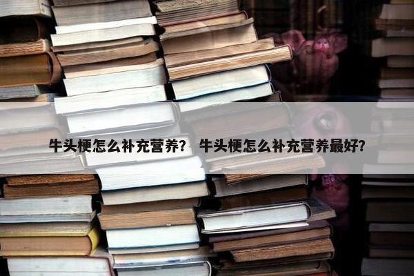 牛头梗怎么补充营养？ 牛头梗怎么补充营养最好？