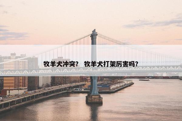 牧羊犬冲突？ 牧羊犬打架厉害吗？