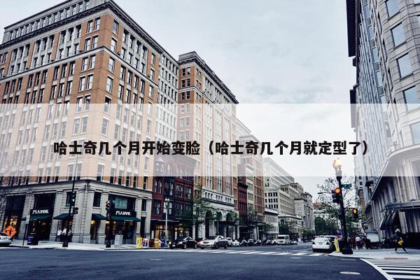 哈士奇几个月开始变脸（哈士奇几个月就定型了）