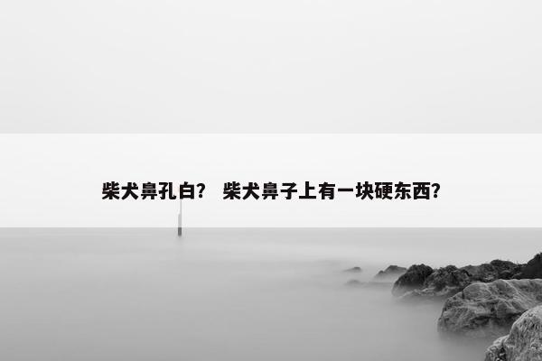 柴犬鼻孔白？ 柴犬鼻子上有一块硬东西？