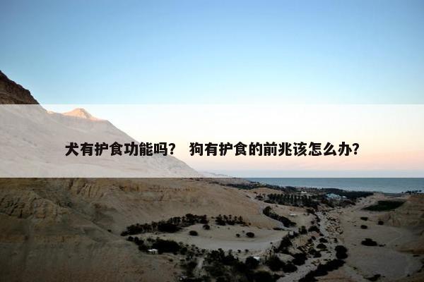 犬有护食功能吗？ 狗有护食的前兆该怎么办？
