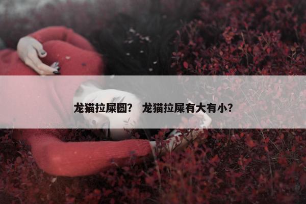 龙猫拉屎圆？ 龙猫拉屎有大有小？
