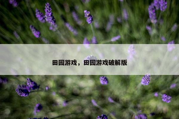田园游戏，田园游戏破解版
