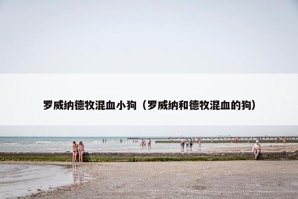 罗威纳德牧混血小狗（罗威纳和德牧混血的狗）