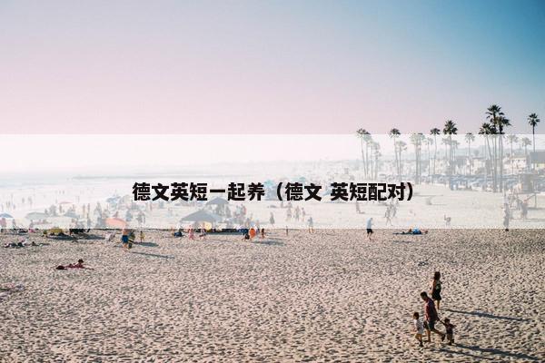 德文英短一起养（德文 英短配对）