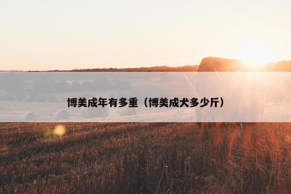 博美成年有多重（博美成犬多少斤）