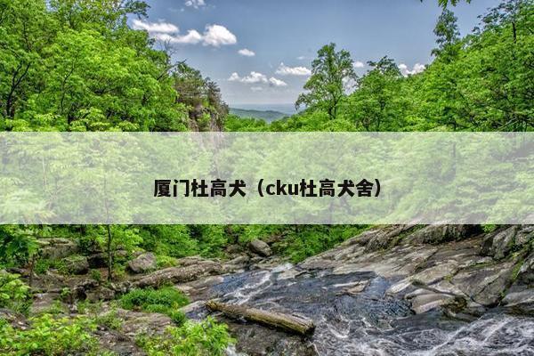 厦门杜高犬（cku杜高犬舍）
