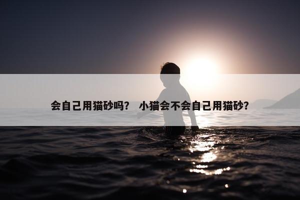 会自己用猫砂吗？ 小猫会不会自己用猫砂？
