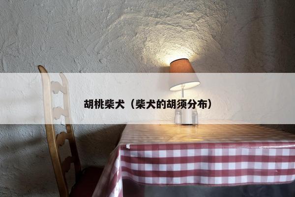 胡桃柴犬（柴犬的胡须分布）