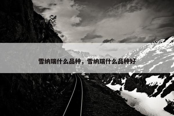 雪纳瑞什么品种，雪纳瑞什么品种好