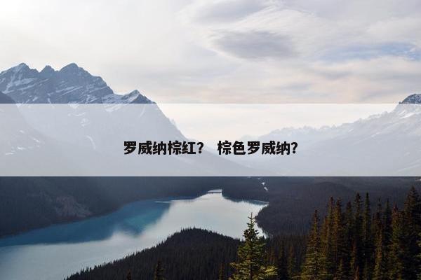 罗威纳棕红？ 棕色罗威纳？