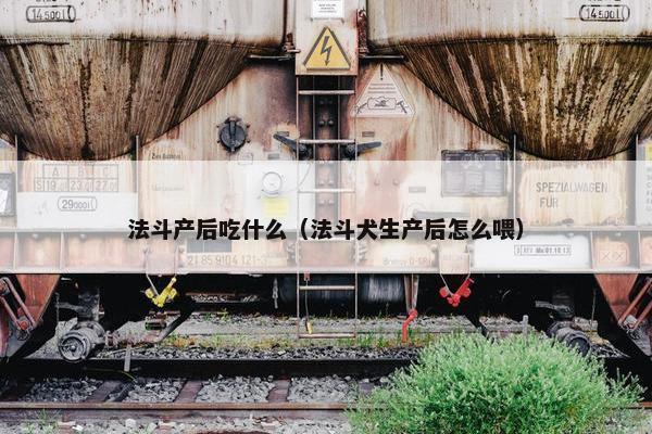 法斗产后吃什么（法斗犬生产后怎么喂）