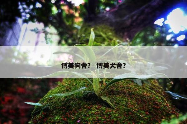 博美狗舍？ 博美犬舍？