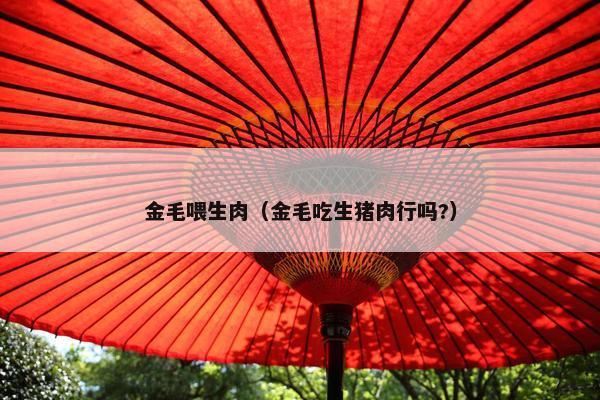 金毛喂生肉（金毛吃生猪肉行吗?）