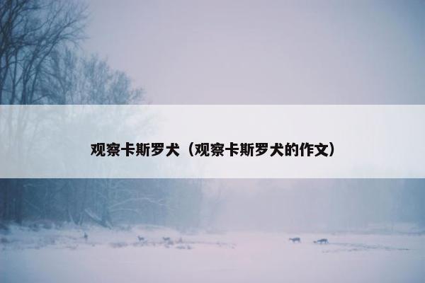 观察卡斯罗犬（观察卡斯罗犬的作文）
