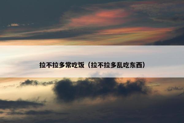 拉不拉多常吃饭（拉不拉多乱吃东西）