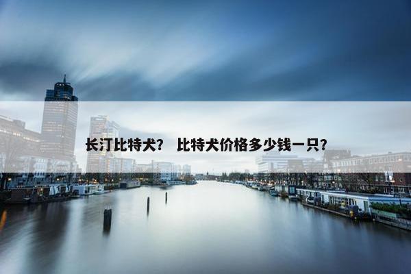 长汀比特犬？ 比特犬价格多少钱一只？