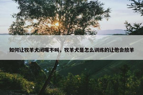 如何让牧羊犬闭嘴不叫，牧羊犬是怎么训练的让他会放羊