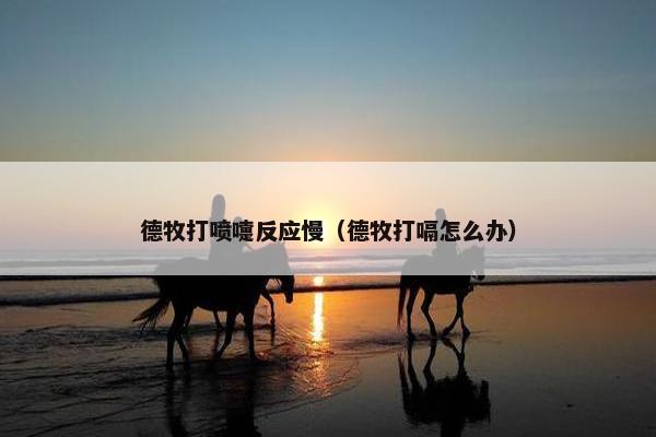 德牧打喷嚏反应慢（德牧打嗝怎么办）