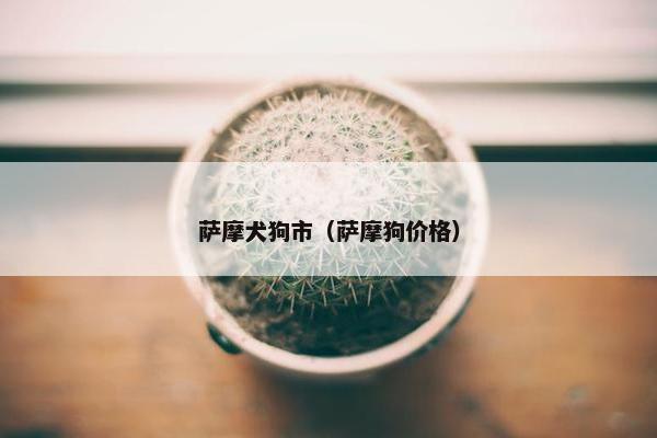 萨摩犬狗市（萨摩狗价格）